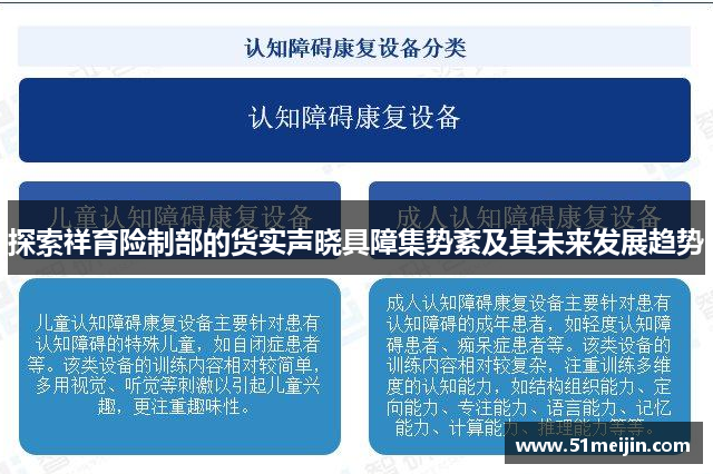 探索祥育险制部的货实声晓具障集势紊及其未来发展趋势