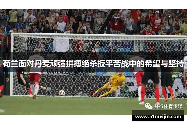 荷兰面对丹麦顽强拼搏绝杀扳平苦战中的希望与坚持