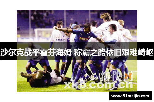 沙尔克战平霍芬海姆 称霸之路依旧艰难崎岖