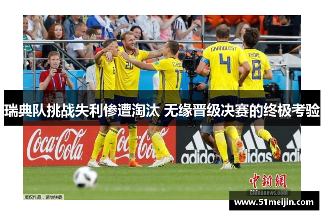 瑞典队挑战失利惨遭淘汰 无缘晋级决赛的终极考验