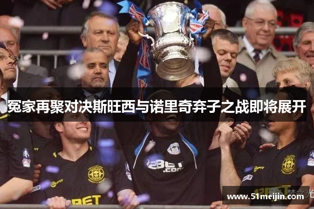 冤家再聚对决斯旺西与诺里奇弃子之战即将展开